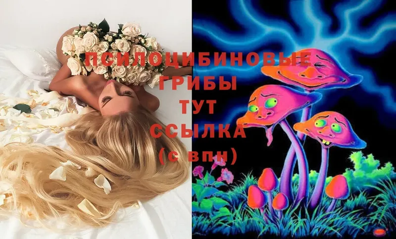 omg ссылка  Мирный  Галлюциногенные грибы MAGIC MUSHROOMS 